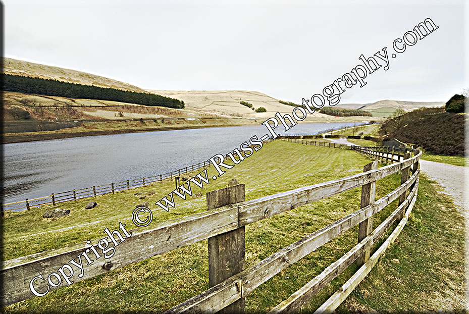 Decorative Photography