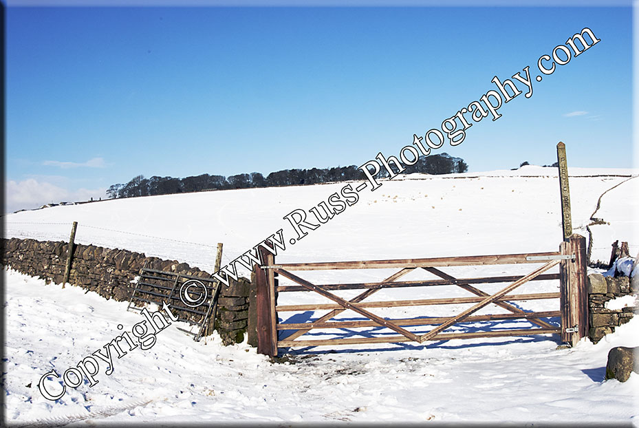Decorative Photography