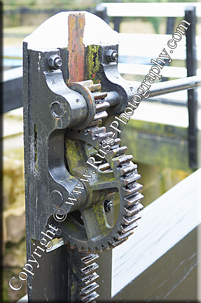 Decorative Photography