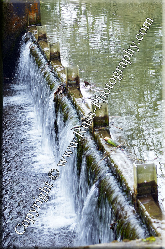 Decorative Photography