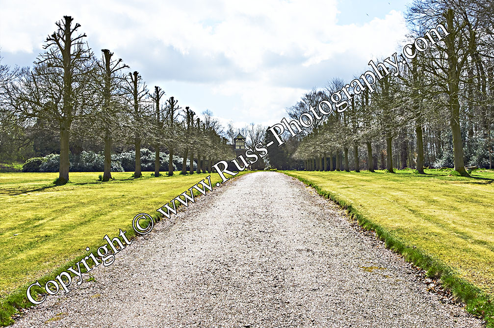 Decorative Photography