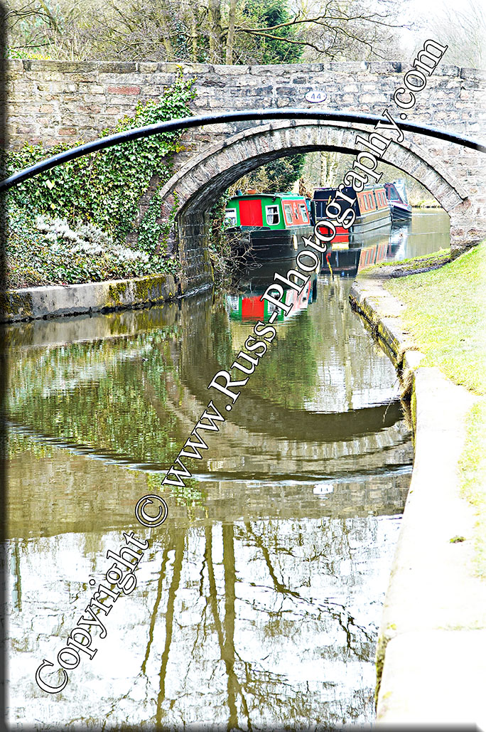 Decorative Photography