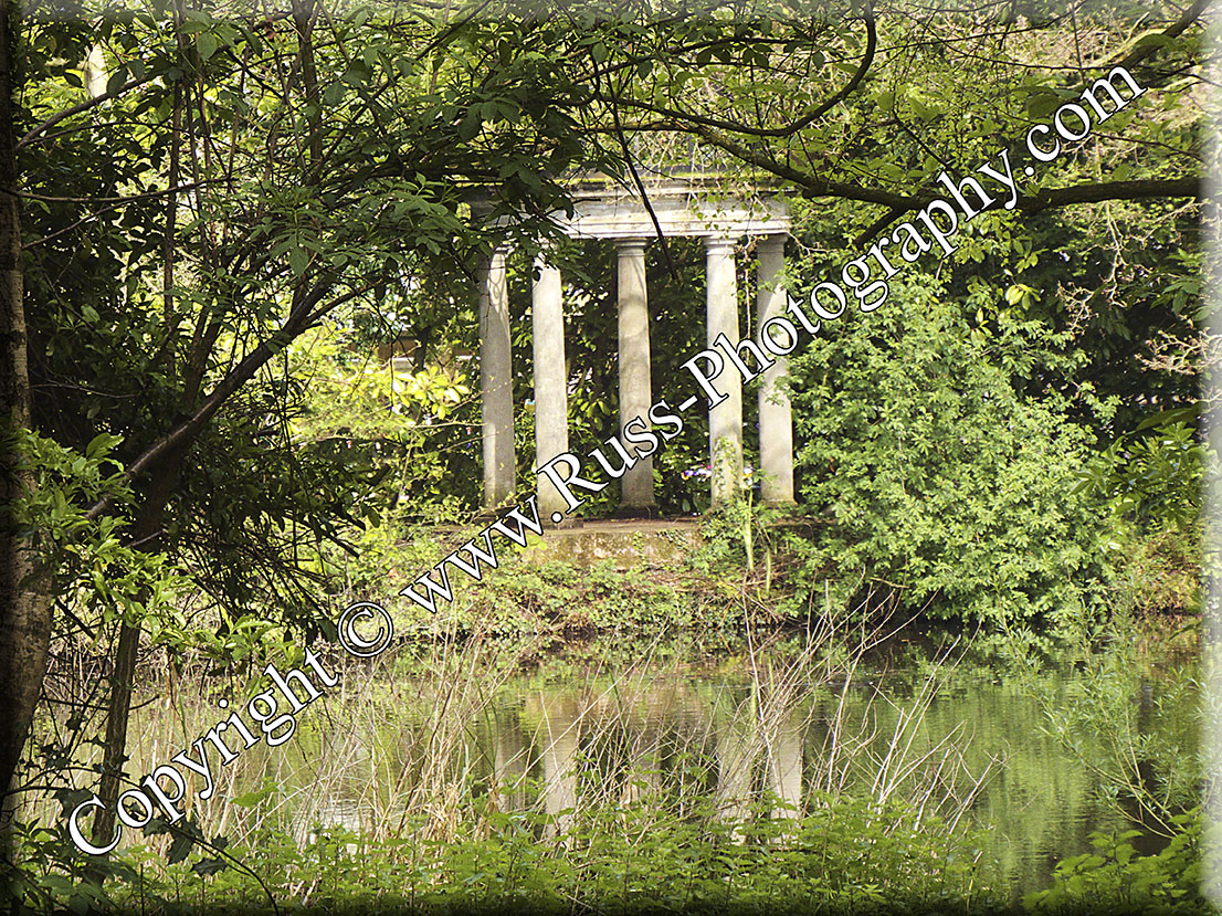 Decorative Photography