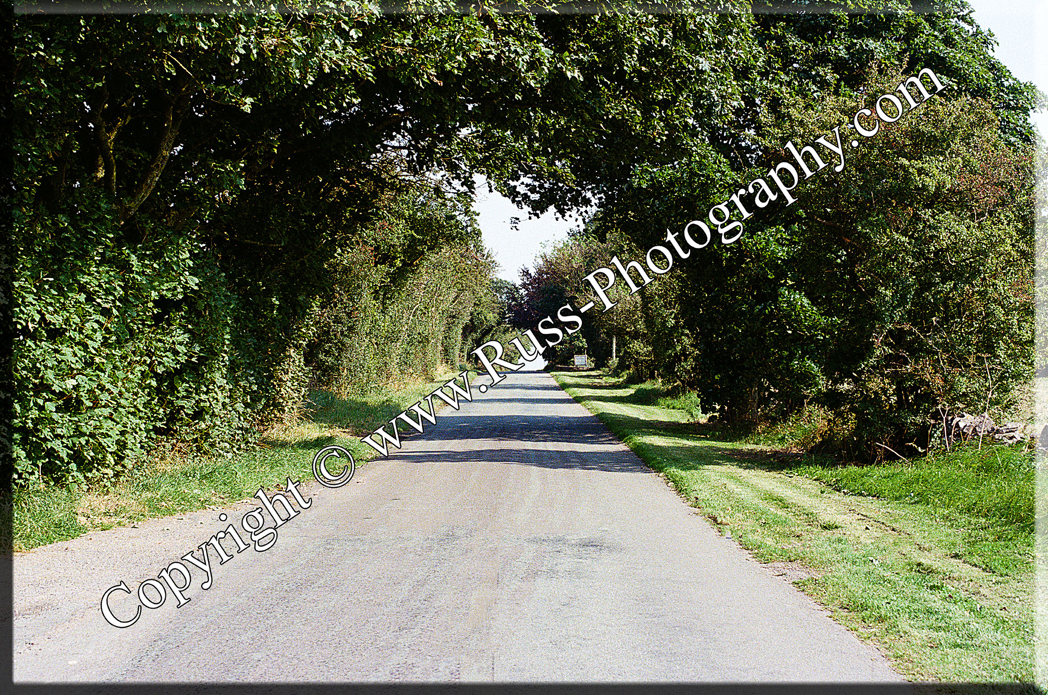 Weaver Road
