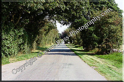 Weaver Road