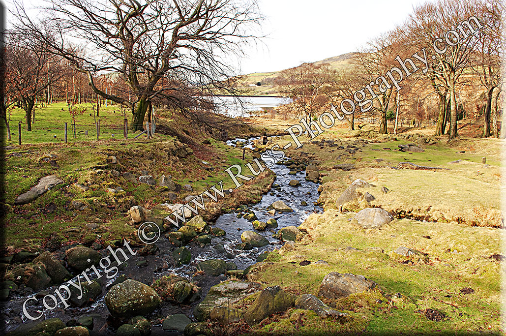 Moorland Stream
