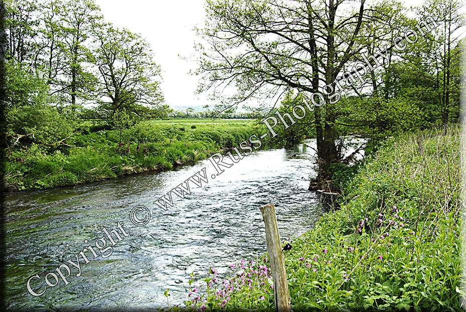 The River