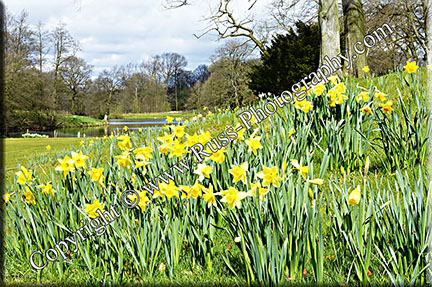 The Garden