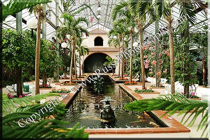 Some Conservatory!