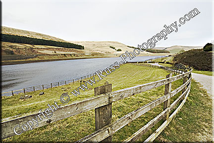 Woodhead