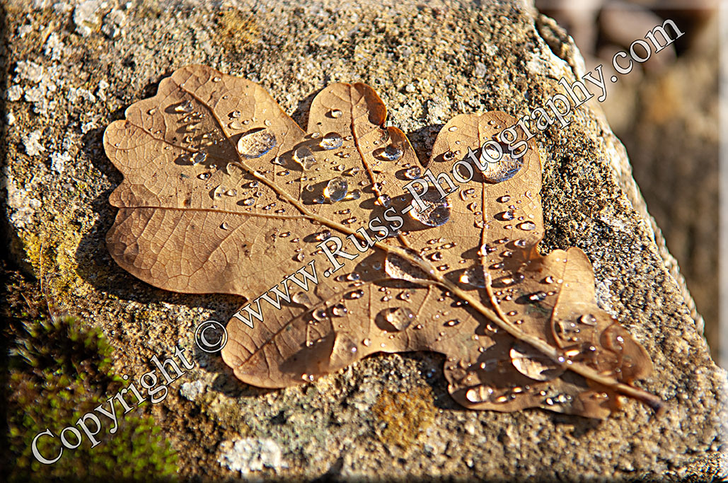 Droplets