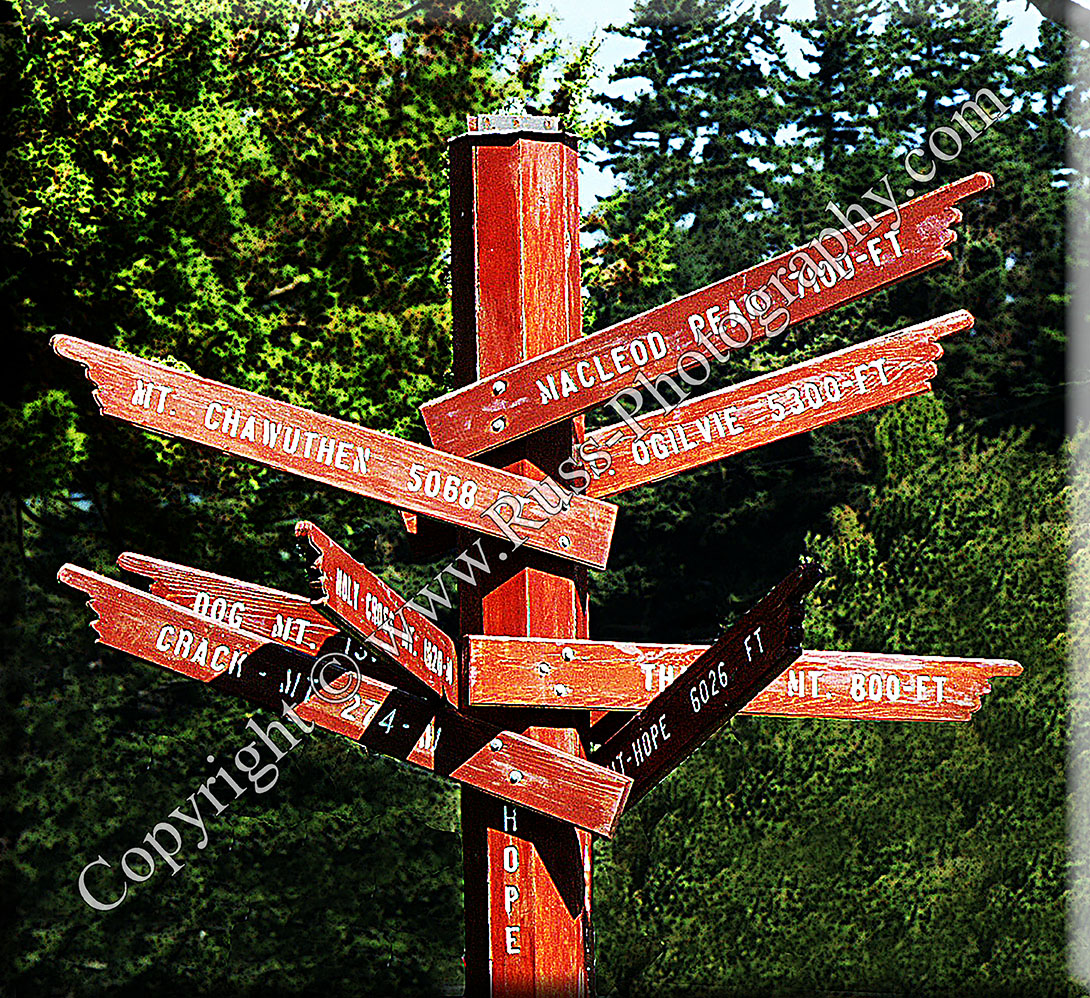 Which Way?