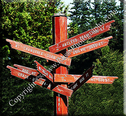 Which Way?