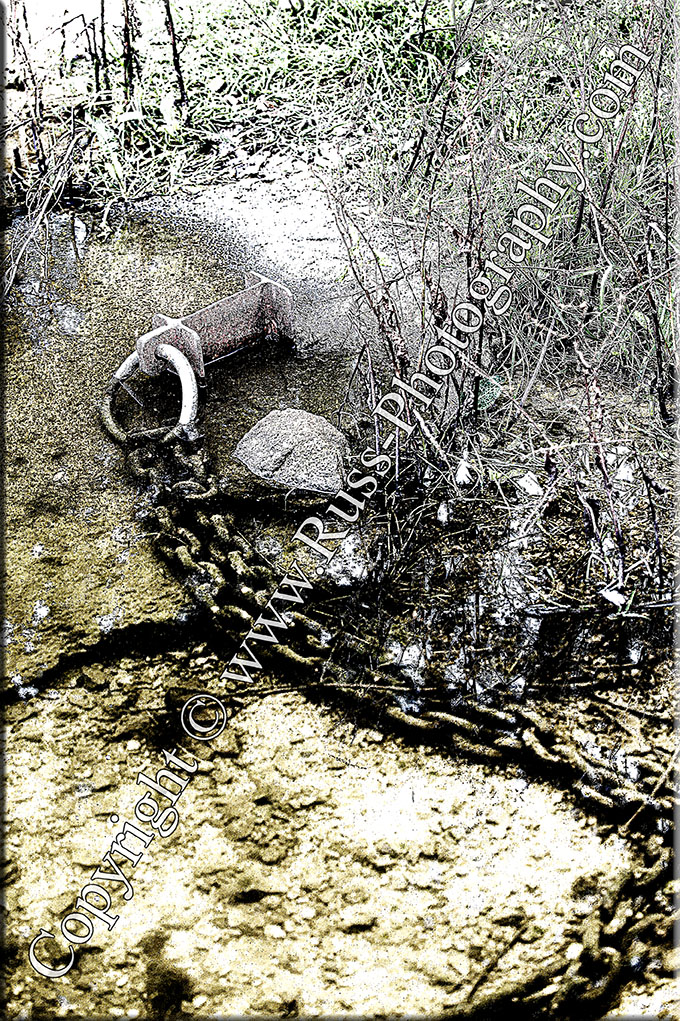Decorative Photography
