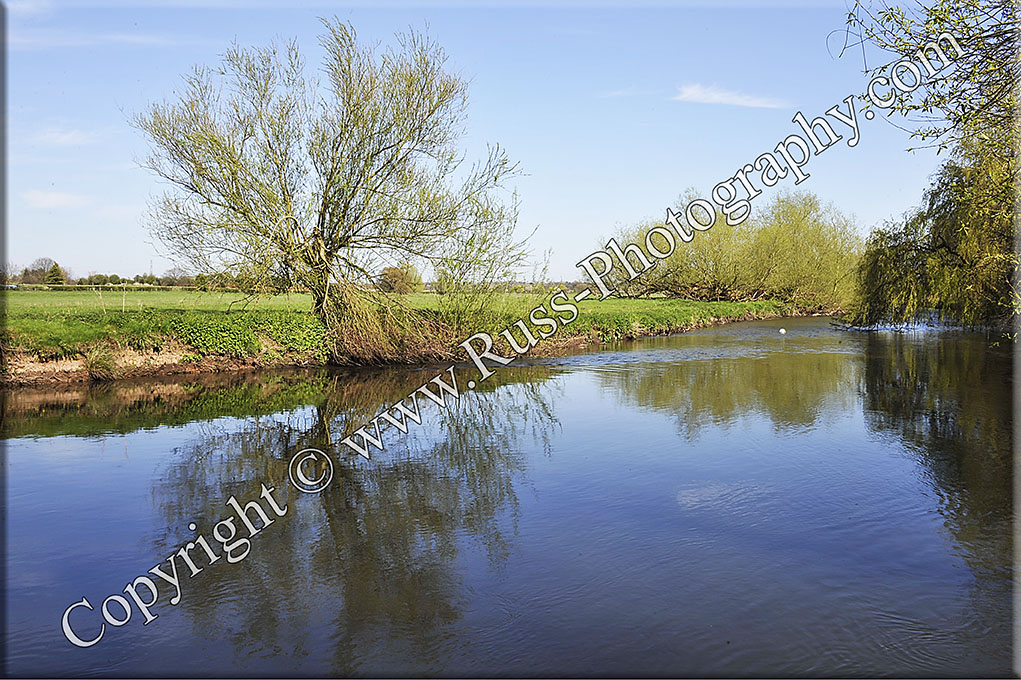Decorative Photography