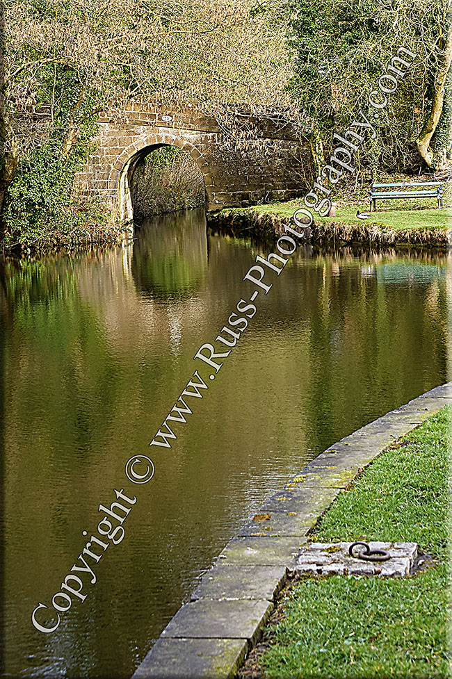 Decorative Photography