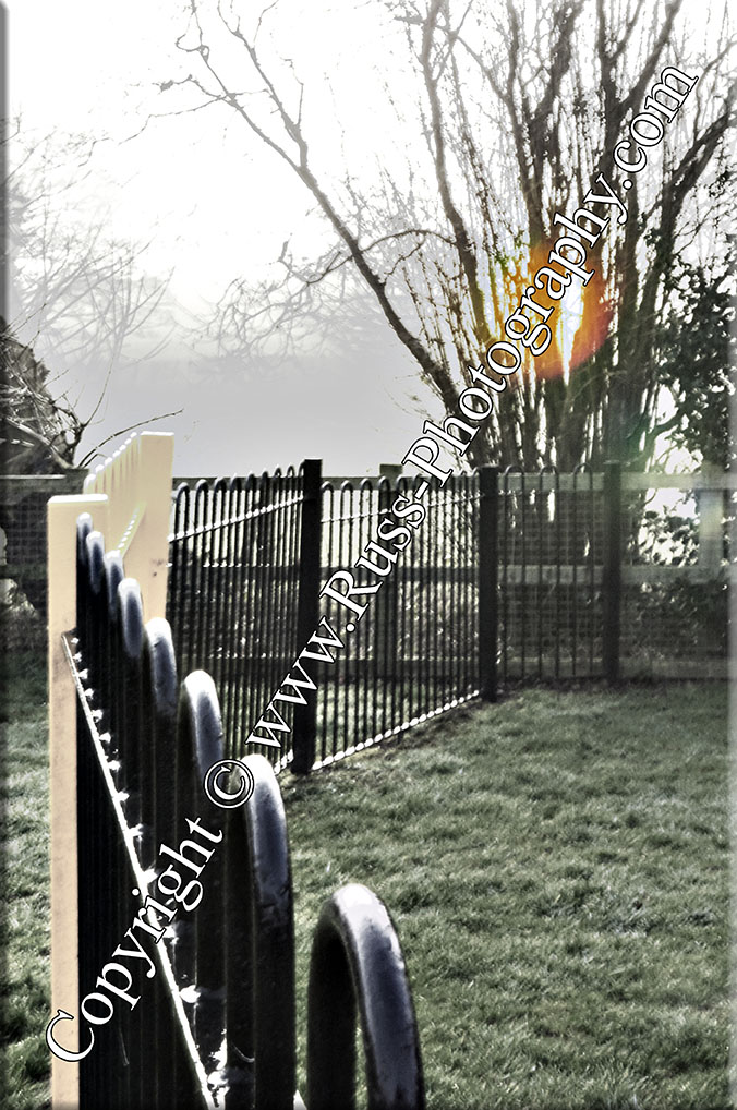 Decorative Photography