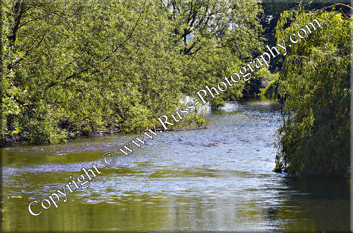 Decorative Photography
